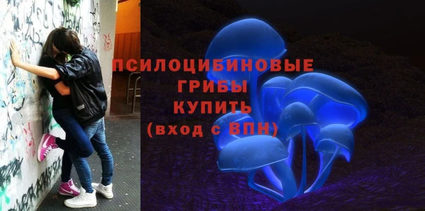 прущая мука Алексеевка