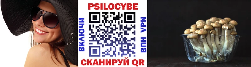 Галлюциногенные грибы Psilocybe  закладка  Хотьково 